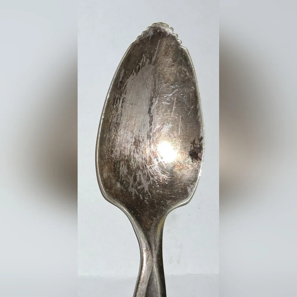 WM ROGERS MFG. CO. serated tip Spoon